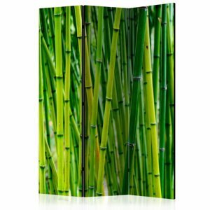 Paraván Bamboo Forest Dekorhome 135x172 cm (3-dielny)