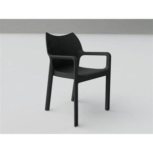 Stoličky Dionisio Black Arm chair