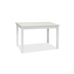 Signal Jedálenský stôl ADAM | 120 x 68 cm Farba: biely mat