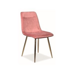 Signal Jedálenská stolička Eros Velvet Farba: Ružová