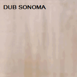 ArtMadex Šatníková skriňa PENELOPA 205 / MOTÝĽ 1 Farba: dub sonoma