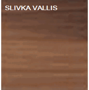 ArtMadex Šatníková skriňa PENELOPA 205 / MOTÝĽ 1 Farba: Slivka vallis