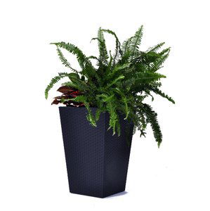 ArtRoja Rattan planter M - grafit