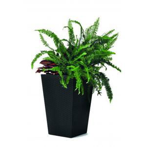 ArtRoja Rattan planter S - grafit