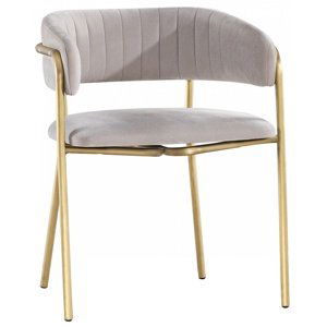 Dizajnová stolička luxor - šedá/zlatá