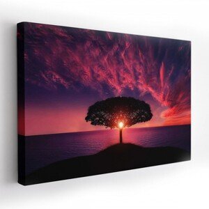 Kvalitný obraz na plátne s motívom stromu pri západe slnka