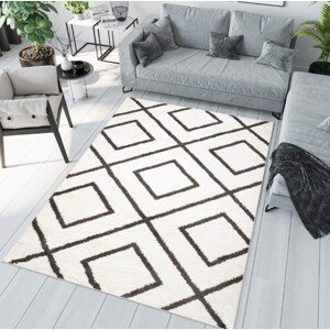domtextilu.sk Moderný koberec s minimalistickým vzorom 61283-235976