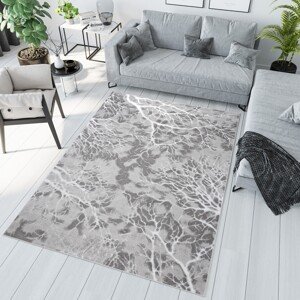 domtextilu.sk Jednoduchý moderný koberec sivej farby s bielym motívom 68248-243211
