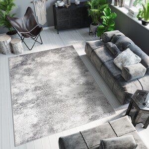 domtextilu.sk Sivý dizajnový koberec s jemným vzorom 68287-243305