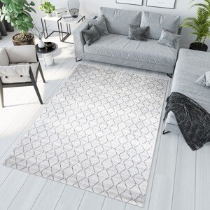 domtextilu.sk Svetlý sivý moderný koberec s jednoduchým vzorom 68566-243958