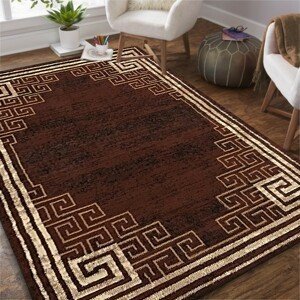 DomTextilu Kvalitný hnedý koberec do obývačky 40349-185067