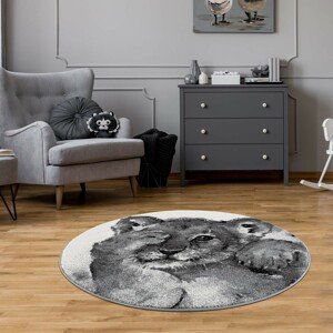 DomTextilu Štýlový okrúhly sivý koberec rozkošné levíča 41681-196884