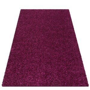 DomTextilu Nádherny fialový koberec Shaggy 44314-207737