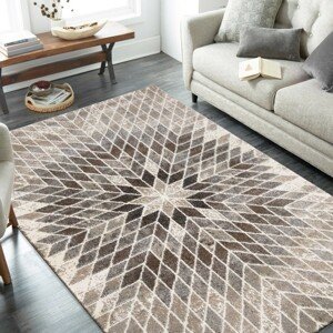 domtextilu.sk Moderný dizajnový bežový koberec s prírodnými motívmi 44521-208201