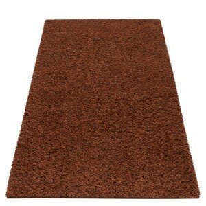 DomTextilu Štýlový tmavo hnedý koberec s vyšším vlasom 44990-209604
