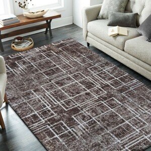 DomTextilu Štýlový hebký koberec so vzorom 51368-230080