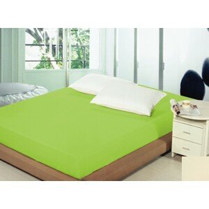 Svetlo zelené plachty na postele Zelená Šírka: 160 cm | Dĺžka: 200 cm Zelená