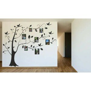 Nálepka na stenu do interiéru s motívom stromu s rámami na fotografie