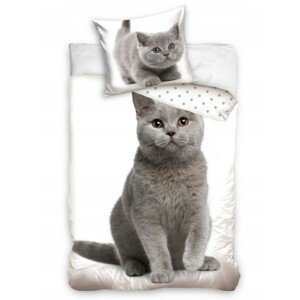 DomTextilu Bavlnené posteľné obliečky s motívom mačky  Biela 68704-244880
