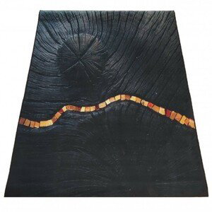 DomTextilu Jednoduchý čierny koberec so zaujímavým detailom 69736-245026