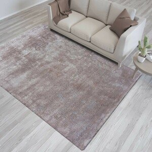 DomTextilu Latte koberec s vyšším vlasom 70514-247107