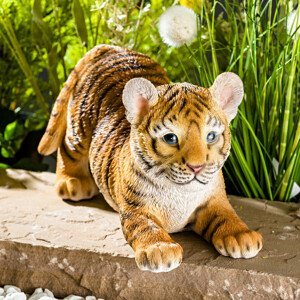 Tigrie mláďa