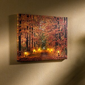 LED obraz "Jesenný les"