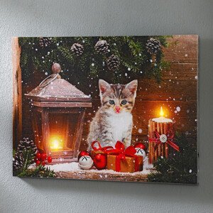 LED obraz "Mačiatko s darčekom"