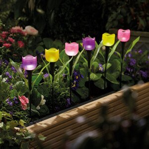 6 solárnych tulipánov