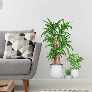 Nálepka na stenu do obývačky - Izbové rastliny