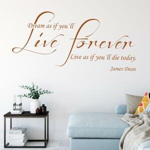 Samolepka citát - James Dean