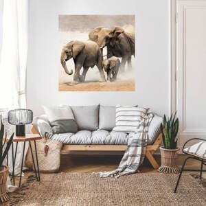 Nálepky na stenu s motívom zvierat - Slony