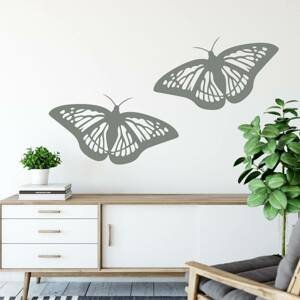 Nálepka na stenu - Nočné motýle