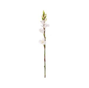 Umelá kvetina Gladiola 85 cm, biela%