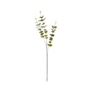 Umelá kvetina Eukalyptus vetva, zelená%