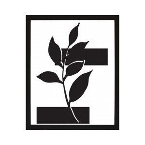 Rámovaný obraz Čiernobiela rastlinná abstrakcia III, 24x30 cm%
