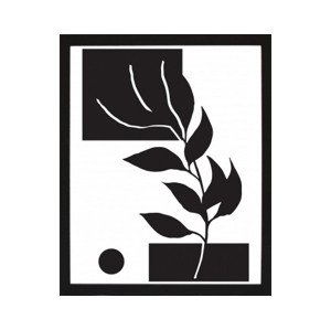 Rámovaný obraz Čiernobiela rastlinná abstrakcia IV, 24x30 cm%