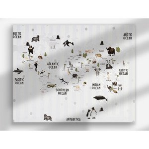 Obraz na plátne Mapa sveta so zvieratami, 40x50 cm%