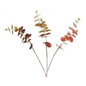 Umelá kvetina Eukalyptus, 51 cm%
