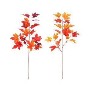 Jesenná vetva (2 druhy) Javor, oranžová%