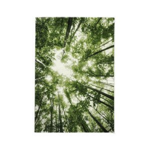 Koberec Belis 80x150 cm, zelený les%