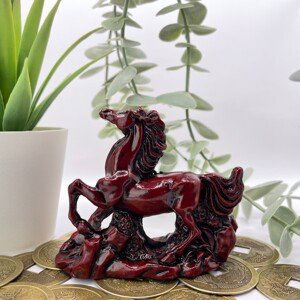 Šoška Feng Shui - Vínový kôň bohatstvo