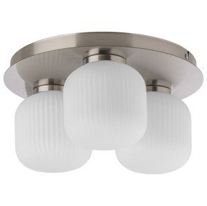 LIVARNO home Stropné LED svietidlo (stropné svietidlo, drážkované)