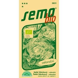 SEMO Bio - Šalát hlávkový MERKURION