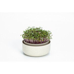 Plastia Microgreens - slonová kosť s kávovou usadeninou