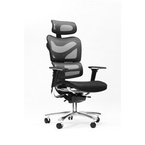 Spinergo MANAGER Spinergo - zdravotný stolička pre náročné - čierna, plast + textil + kov