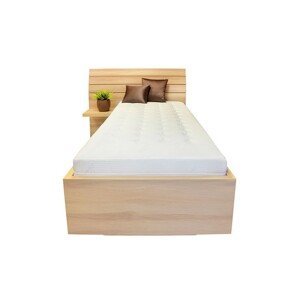Ahorn SALINA - jednolôžková posteľ so širokým čelom 120 x 200 cm, lamino