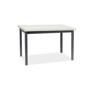 Signal Jedálenský stôl ADAM | 120 x 68 cm FARBA: biely mat / čierna
