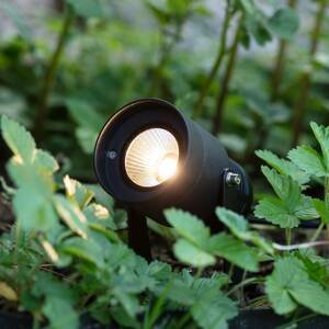 Garden 24 LED spotlight, čierna, 6 wattové