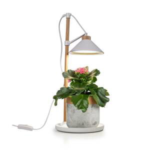 Botanické LED svietidlo ISL-60028